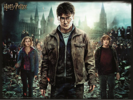 Harry Potter: Magiczne puzzle - Złota Trójka (300 elementów)