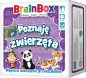 BrainBox - Poznaję zwierzęta