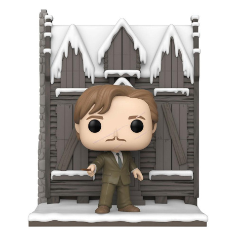 Funko POP Movies: Harry Potter: Chamber of Secrets - Remus (Hogsmeade)