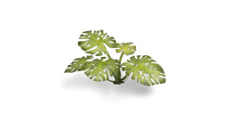 Gamers Grass: Laser Plants - Monstera