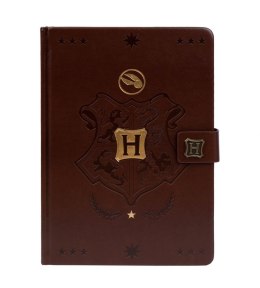 Notatnik A5 premium Harry Potter - QUIDDITCH