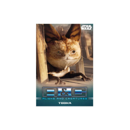 Star Wars: The Mandalorian Trading Cards Starter Pack *English Version*