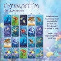 Ekosystem 2: Rafa koralowa