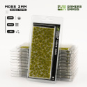 Gamers Grass: Grass tufts - 2 mm - Moss Tufts (Wild)