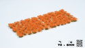 Gamers Grass: Orange Flowers (Wild)